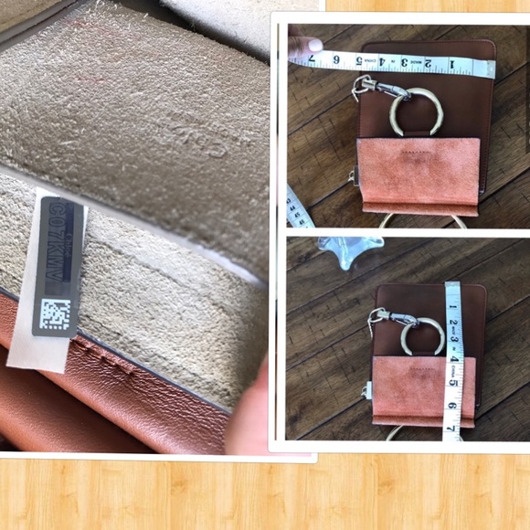 Chloe - Picture 8 of 8